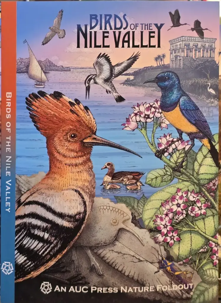 Birds of the Nile Valley Index