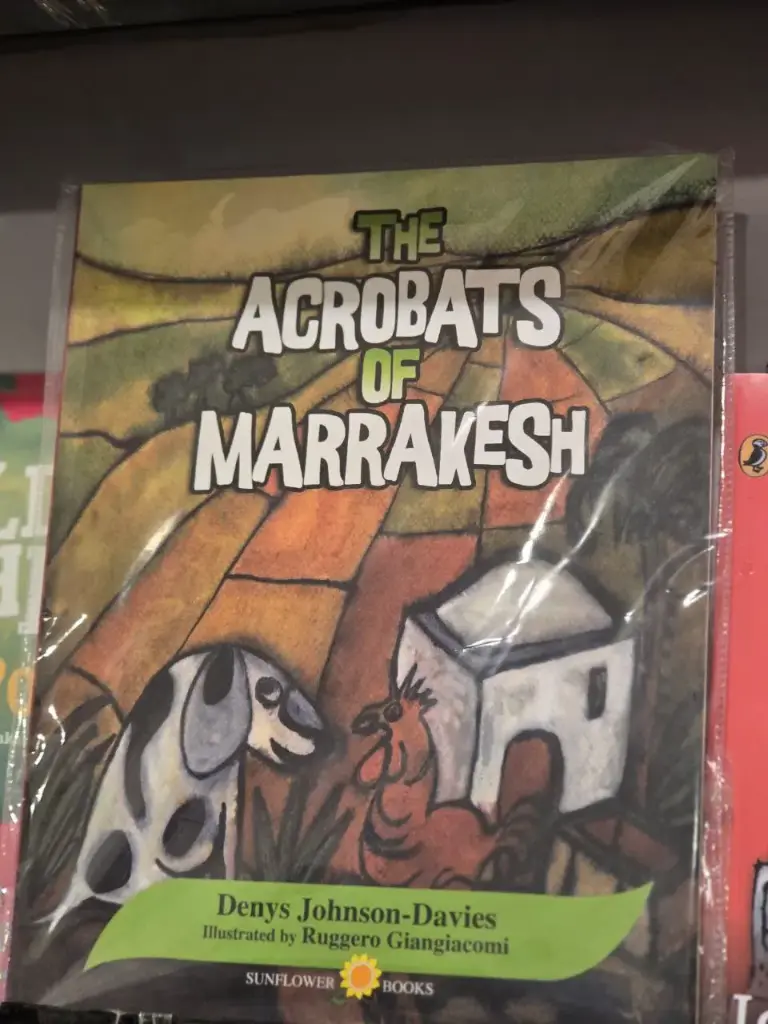 The Acrobats of Marrakesh by Denys johnson & Davies