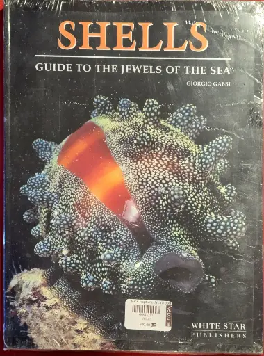 Shells - Guide to the Jewels of the Red Sea