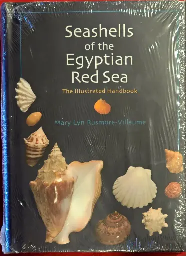 Seashells of the Egyptian Red Sea 